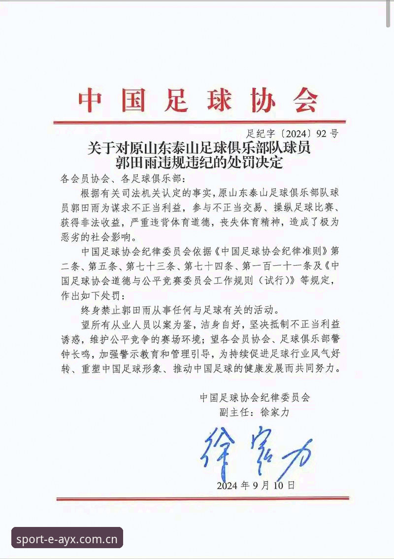 资深球迷分析：足协第三批禁足名单深度解读，足球反腐的实战经验分享